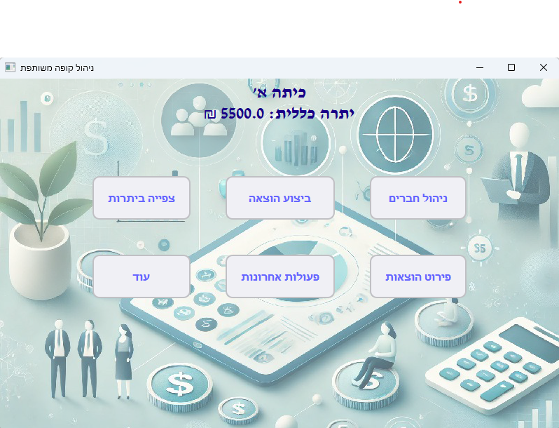תמונה מהתוכנה 2