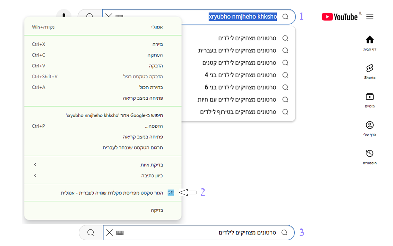 תמונה מהתוכנה 1
